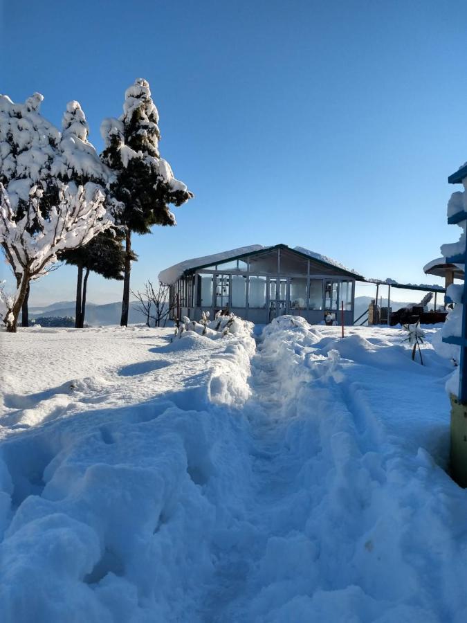 Chirping Orchard, Mukteshwar Bed & Breakfast Exterior photo