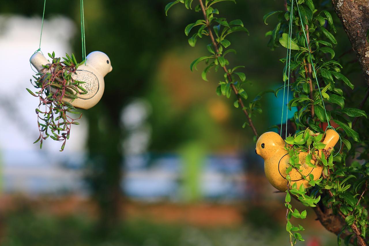 Chirping Orchard, Mukteshwar Bed & Breakfast Exterior photo